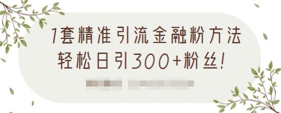 1套精准引流金融粉方法，轻松日引300+粉丝【视频课程】-问小徐资源库