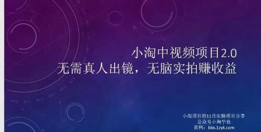 小淘项目组网赚永久会员，绝对是具有实操价值的，适合有项目做需要流程【持续更新】-问小徐资源库