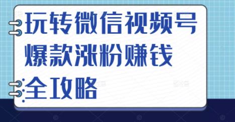 玩转微信视频号爆款涨粉赚钱全攻略，让你快速抓住流量风口，收获红利财富-问小徐资源库