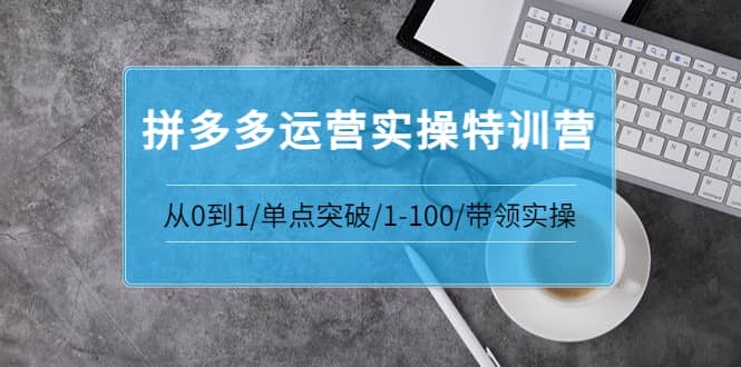 拼多多运营实操特训营：从0到1/单点突破/1-100/带领实操 价值2980元-问小徐资源库