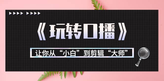 月营业额700万+大佬教您《玩转口播》让你从“小白”到剪辑“大师”-问小徐资源库