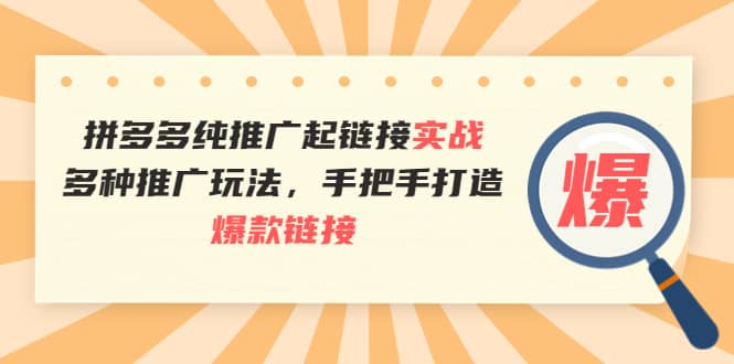 拼多多纯推广起链接实战：多种推广玩法，手把手打造爆款链接-问小徐资源库