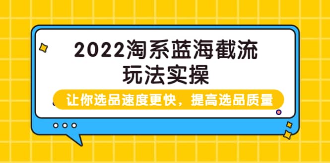 2022淘系蓝海截流玩法实操：让你选品速度更快，提高选品质量（价值599）-问小徐资源库