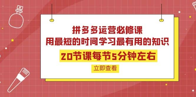 拼多多运营必修课：20节课每节5分钟左右，用最短的时间学习最有用的知识-问小徐资源库
