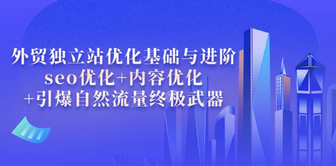 外贸独立站优化基础与进阶，seo优化+内容优化+引爆自然流量终极武器-问小徐资源库