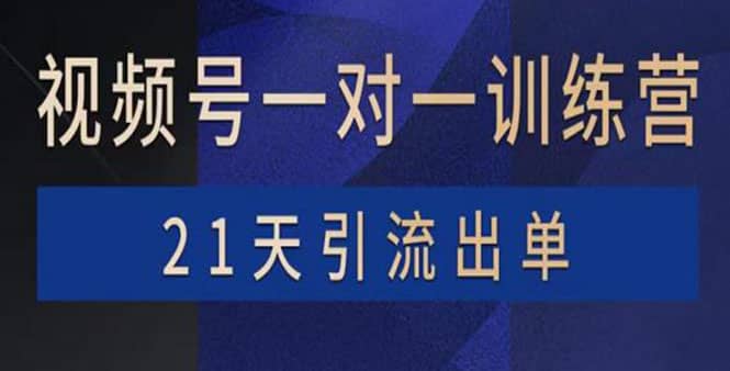 视频号训练营：带货，涨粉，直播，游戏，四大变现新方向，21天引流出单-问小徐资源库