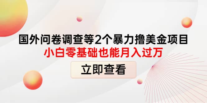 国外问卷调查等2个暴力撸美元项目，小白零基础也能月入过万-问小徐资源库