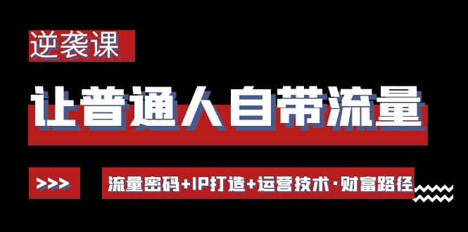 让普通人自带流量的逆袭课：流量密码+IP打造+运营技术·财富路径-问小徐资源库