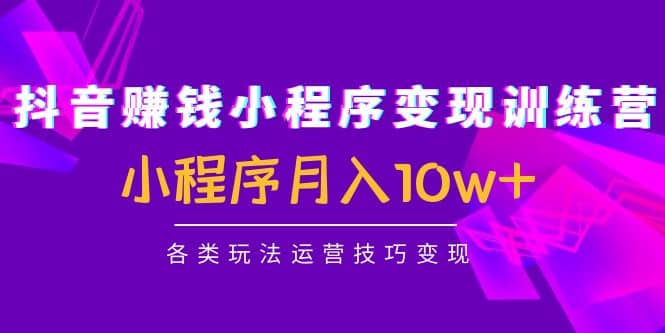 抖音小程序变现训练营：小程序各类玩法运营技巧变现-问小徐资源库