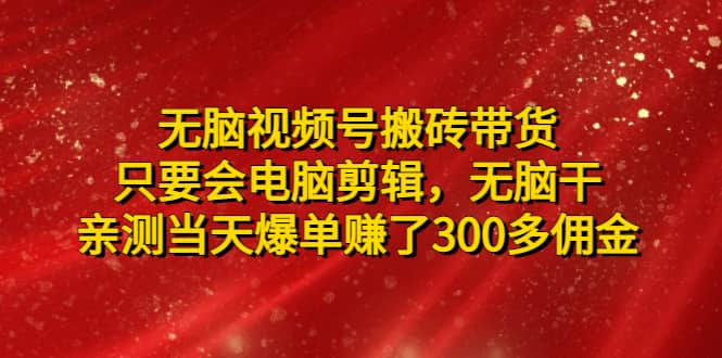 无脑视频号搬砖带货，只要会电脑剪辑，无脑干-问小徐资源库