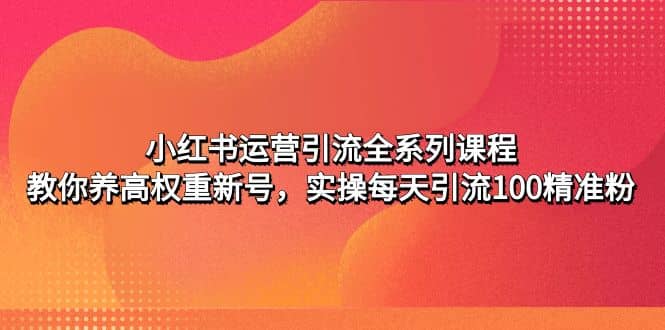 小红书运营引流全系列课程：教你养高权重新号-问小徐资源库