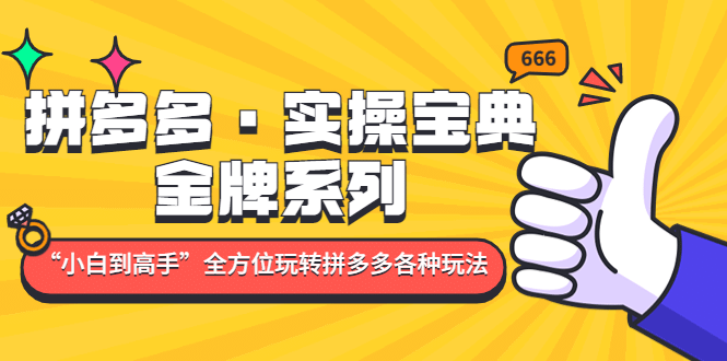 拼多多·实操宝典：金牌系列“小白到高手”带你全方位玩转拼多多各种玩法-问小徐资源库