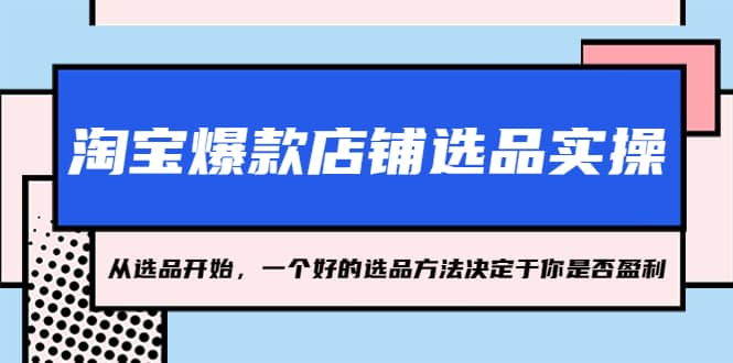淘宝爆款店铺选品实操，2023从选品开始，一个好的选品方法决定于你是否盈利-问小徐资源库