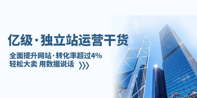 独立站运营干货：全面提升网站·转化率超过4%，轻松大卖 用数据说话-问小徐资源库