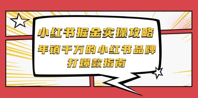 小红书掘金实操攻略，年销千万的小红书品牌打爆款指南-问小徐资源库