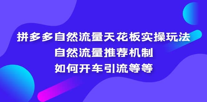 拼多多自然流量天花板实操玩法：自然流量推荐机制，如何开车引流等等-问小徐资源库