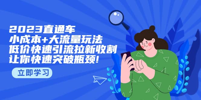 2023直通小成本+大流量玩法，低价快速引流拉新收割，让你快速突破瓶颈-问小徐资源库