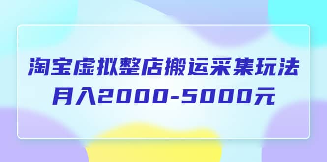 淘宝虚拟整店搬运采集玩法分享课：月入2000-5000元（5节课）-问小徐资源库