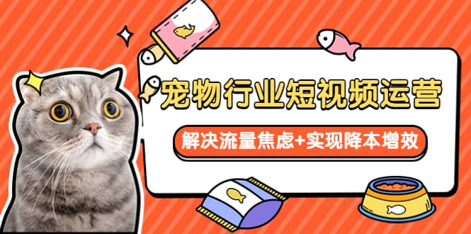 宠物/行业短视频运营 流量增长的一层窗户纸 解决流量焦虑+实现降本增效-问小徐资源库