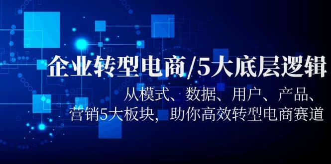 企业转型电商/5大底层逻辑，从模式 数据 用户 产品 营销5大板块，高效转型-问小徐资源库