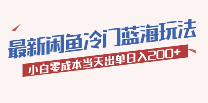 2023最新闲鱼冷门蓝海玩法，小白零成本当天出单日入200+-问小徐资源库