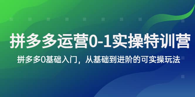 拼多多-运营0-1实操训练营，拼多多0基础入门，从基础到进阶的可实操玩法-问小徐资源库