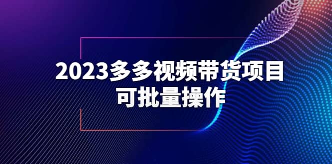 2023多多视频带货项目，可批量操作【保姆级教学】-问小徐资源库