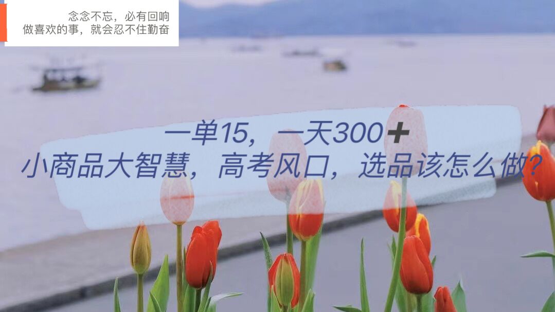 一单15，一天300+，小商品大智慧，高考风口，选品该怎么布局-问小徐资源库