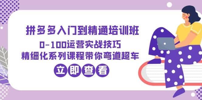 2023拼多多入门到精通培训班：0-100运营实战技巧 精细化系列课带你弯道超车-问小徐资源库