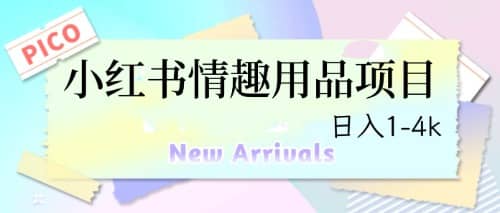 最新小红书情趣用品项目，日入1-4k-问小徐资源库