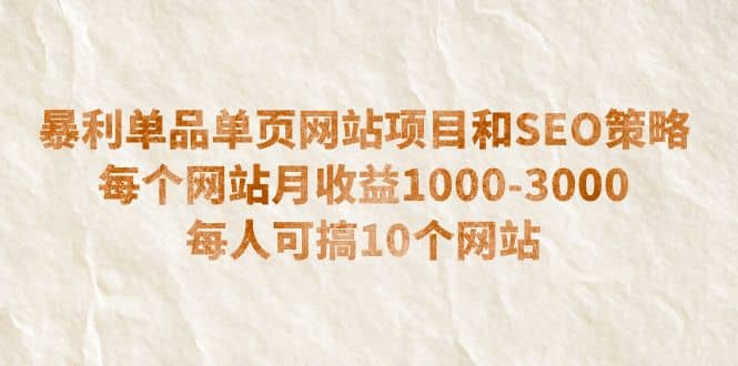 暴利单品单页网站项目和SEO策略 每个网站月收益1000-3000 每人可搞10个-问小徐资源库