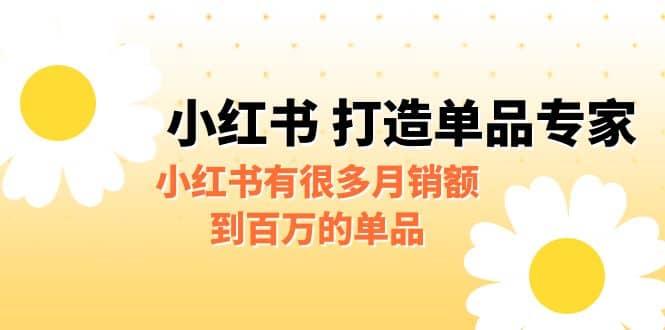 某公众号付费文章《小红书 打造单品专家》小红书有很多月销额到百万的单品-问小徐资源库