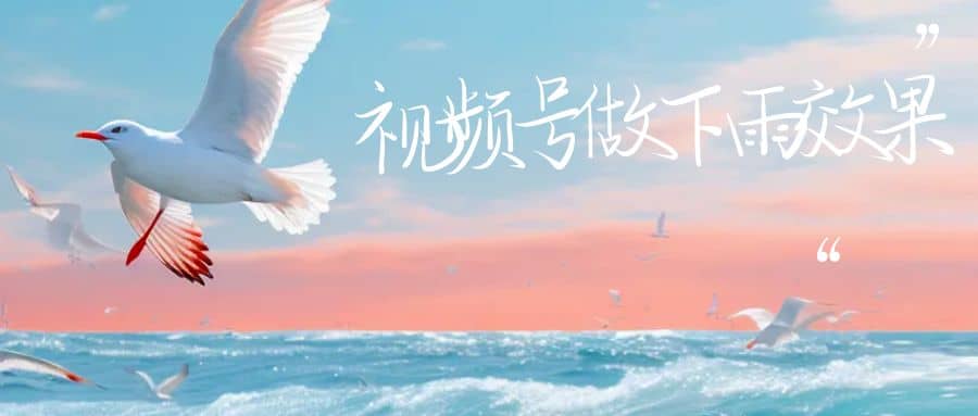 视频号做下雨视频一个账号一周涨粉10W+年入100w-问小徐资源库