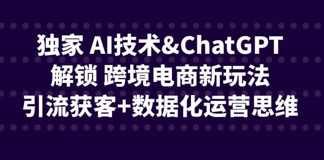 独家 AI技术ChatGPT解锁 跨境电商新玩法，引流获客+数据化运营思维-问小徐资源库