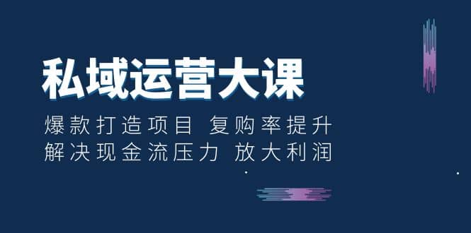 私域运营大课：爆款打造项目 复购率提升 解决现金流压力 放大利润-问小徐资源库