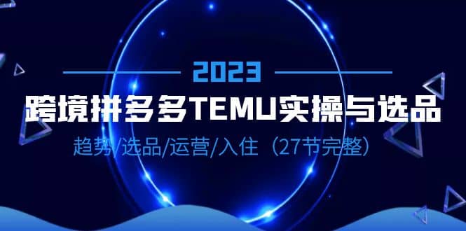 2023跨境·拼多多·TEMU实操与选品，趋势·选品·运营·入住（27节完整）-问小徐资源库
