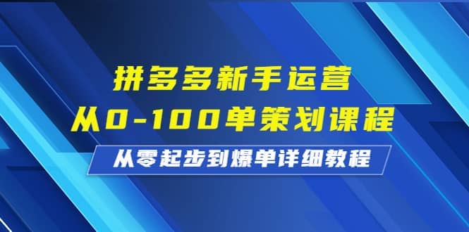 拼多多新手运营从0-100单策划课程，从零起步到爆单详细教程-问小徐资源库