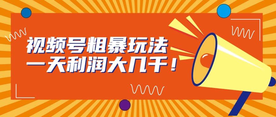 视频号粗暴玩法，一天利润大几千-问小徐资源库