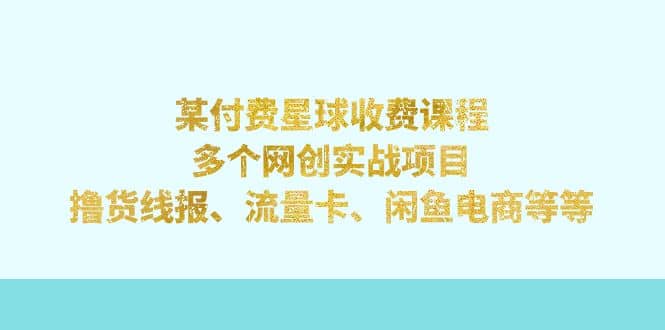 某付费星球课程：多个网创实战项目，撸货线报、流量卡、闲鱼电商等等-问小徐资源库