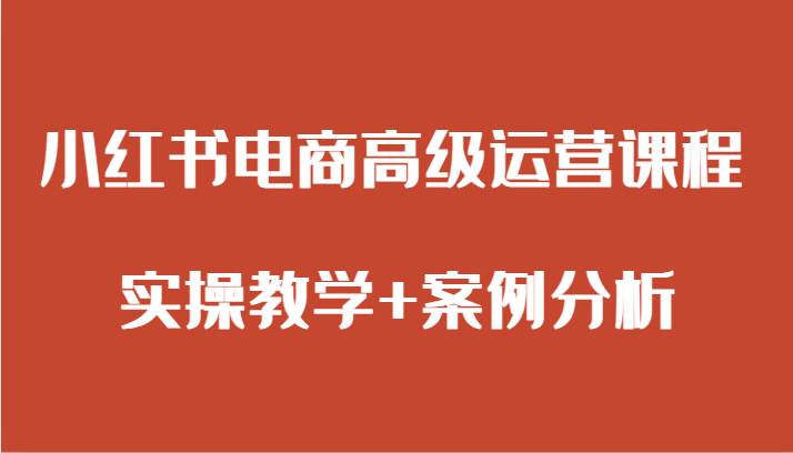 小红书电商高级运营课程 实操教学+案例分析-问小徐资源库