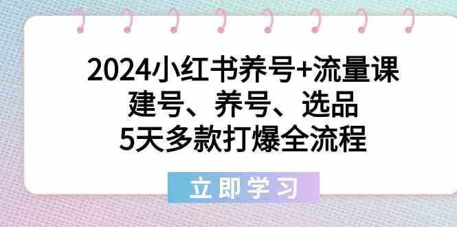 2024小红书养号+流量课：建号、养号、选品，5天多款打爆全流程-问小徐资源库
