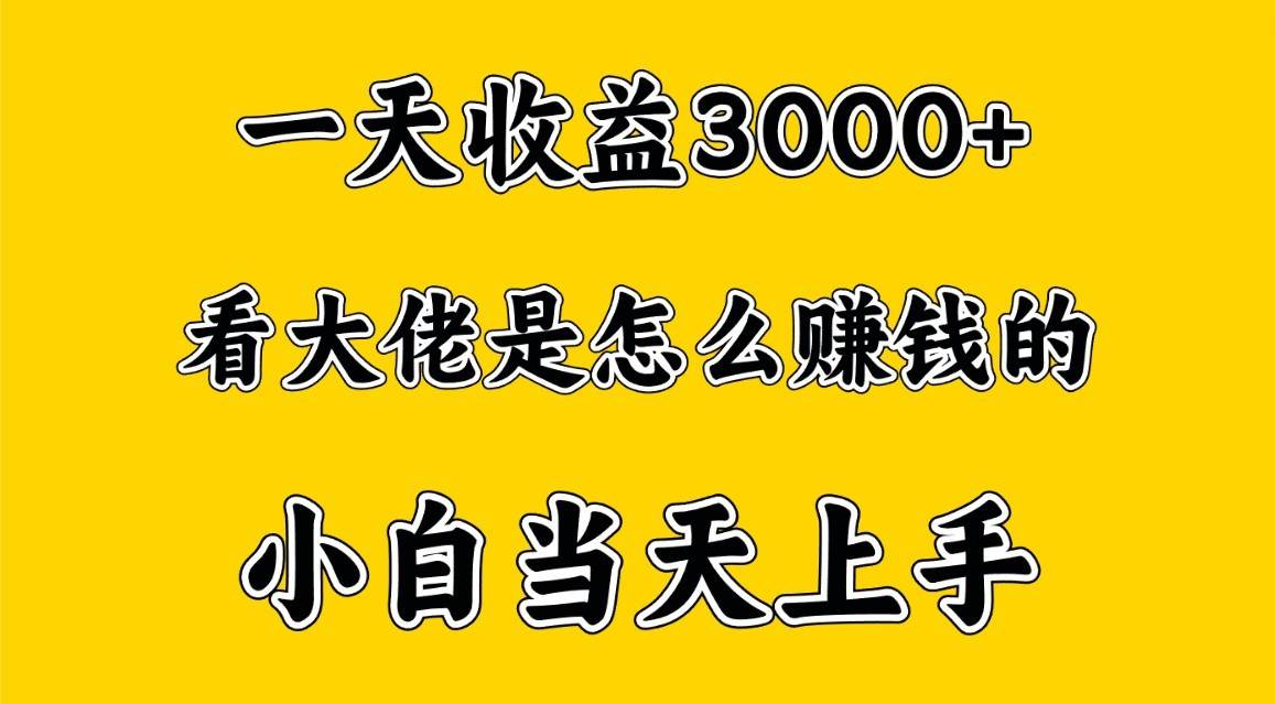 一天赚3000多，大佬是这样赚到钱的，小白当天上手，穷人翻身项目-问小徐资源库