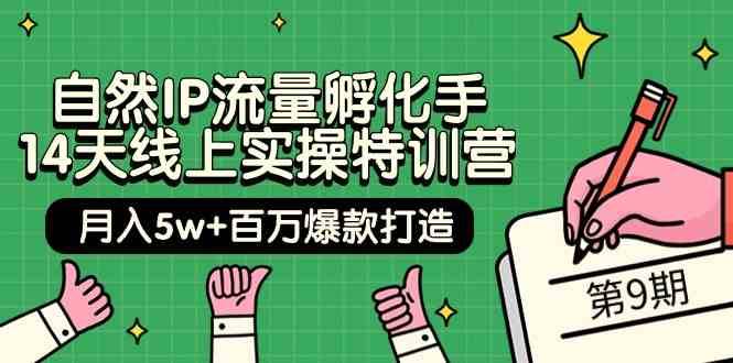 自然IP流量孵化手14天线上实操特训营【第9期】月入5w+百万爆款打造 (74节)-问小徐资源库