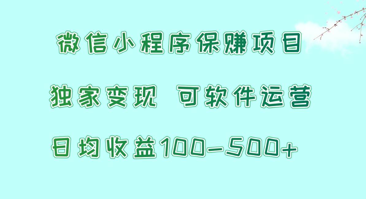 微信小程序保赚项目，日均收益100~500+，独家变现，可软件运营-问小徐资源库