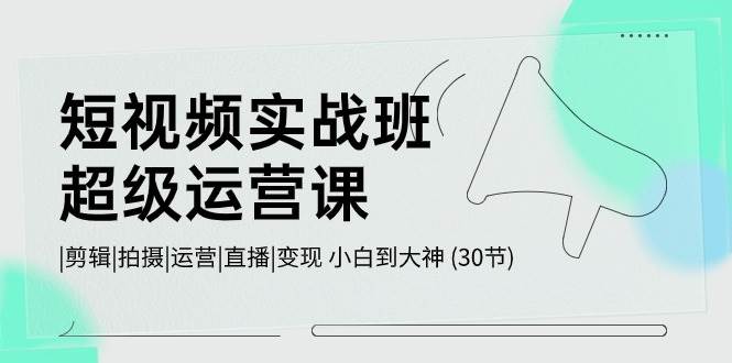短视频实战班超级运营课 |剪辑|拍摄|运营|直播|变现 小白到大神 (30节)-问小徐资源库