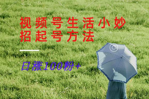 视频号生活小妙招分享赛道， 起号涨粉新方法，日涨100粉-问小徐资源库
