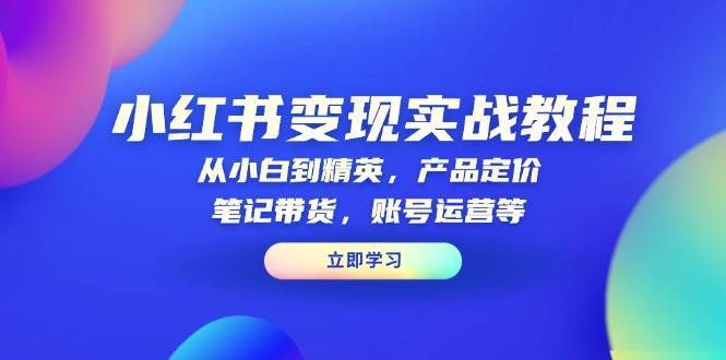 小红书变现实战教程：从小白到精英，产品定价，笔记带货，账号运营等-问小徐资源库