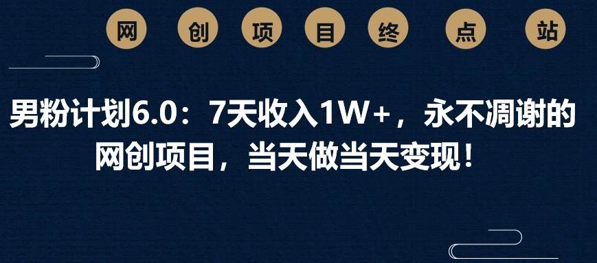 男粉计划6.0：7天收入1W+，永不凋谢的网创项目，当天做当天变现！-问小徐资源库