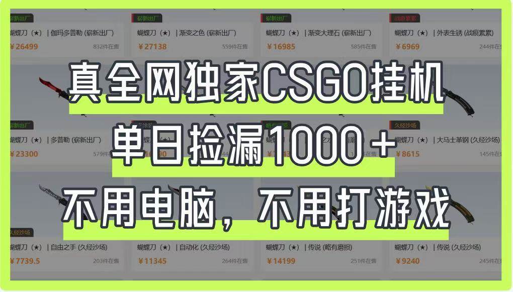 真全网独家CSGO挂机，单日捡漏1000+，不用电脑，不用养号-问小徐资源库