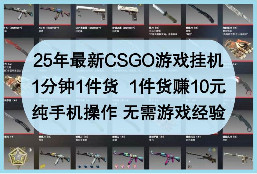 25年最新CSGO游戏挂机，1分钟1件货，1件货赚10元，纯手机操作，无需游戏经验-问小徐资源库